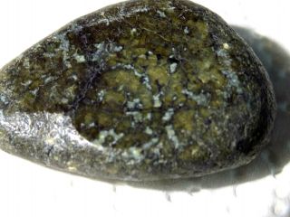 Stone Meteorite With Veines