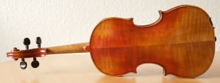 Very Old Labelled Vintage Violin " Gaetano Gadda 1929 " Fiddle 小提琴 ヴァイオリン Geige