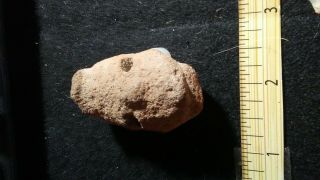 Small Stone Carved Head Artifact Pre Columbian Sandstone