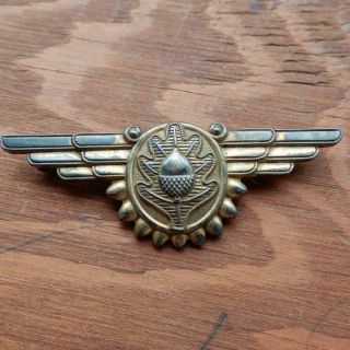 Scarce Sterling Wwii Us Navy Flight Surgeon Wings 2 13/16th " Full Size