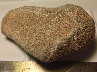Gem Bone Agatized Whale Bone Fossil Multi Color Raw Lapidary Stone