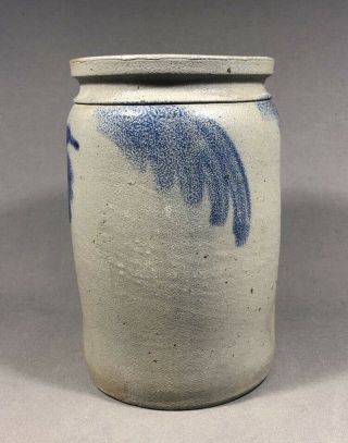 Mid 19th C.  Salt Glaze Stoneware Jar W/ Cobalt Blue 2