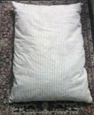 Vintage Blue Stripe Ticking Heavy Feather Bed Pillow Farmhouse Primitive 28 X 19