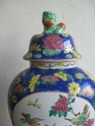 Fine Old Chinese Porcelain Enameled Painted Lidded Vase Jar BIG Foo Dog SIGNED 2