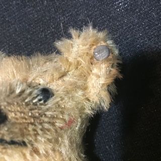 Small 5” Antique Mohair Teddy Bear Signed Steiff Button in Ear 2
