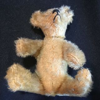 Small 5” Antique Mohair Teddy Bear Signed Steiff Button in Ear 3