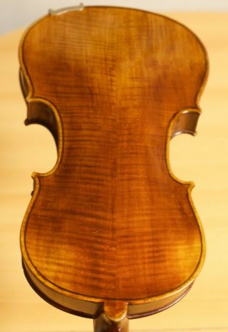 Very Old Labelled Vintage Violin " Carlo Tononi " 小提琴 скрипка ヴァイオリン Geige