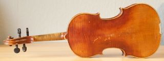 Very Old Labelled Vintage Violin " Pollastri Gaetano " 小提琴 скрипка ヴァイオリン Geige