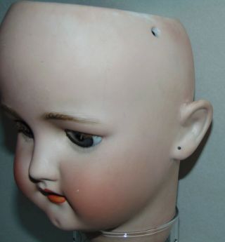 ANTIQUE BISQUE Doll Head SIMON & HALBIG Bergmann 13 1/2 2