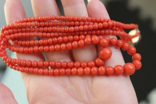 25gr Antique Red Coral Necklace Natural Undyed Beads Silver Clasp Coral