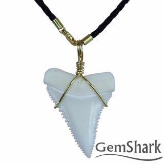 Modern Great White Shark Tooth Necklace 1.  4  Pendant 14 K Gold Plating Chain