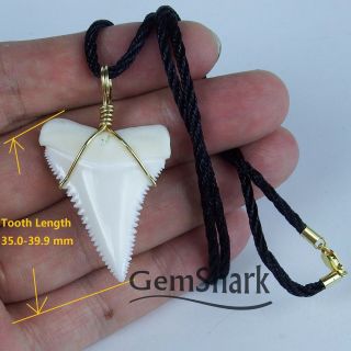 Modern Great White Shark Tooth Necklace 1.  4  Pendant 14 K gold plating Chain 2