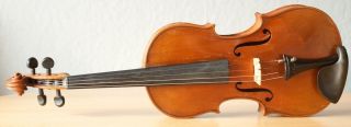 Very Old Labelled Vintage Violin " Ansaldo Poggi " Fiddle 小提琴 ヴァイオリン Geige