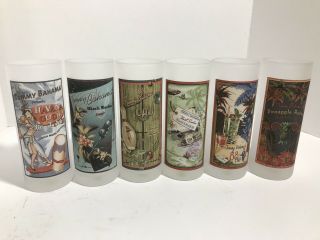 Tommy Bahama Frosted Cocktail Glass Set Of 6 Tiki Bar Man Cave Hawaiian 12 Oz