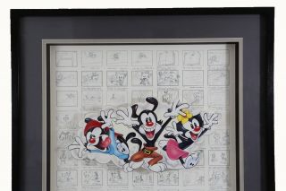 1994 Warner Brothers Animaniacs Mark Taliani Autographed Framed Storyboard w/COA 2