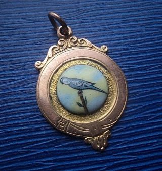 Attractive 9ct Gold & Enamel Fob Medal H/m 1930 Caged Bird / Budgie Budgerigar