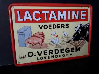 Great Vintage Lithograph Advertising Tin Sign,  Lactamine Cow,  Pig,  Chicken Feed