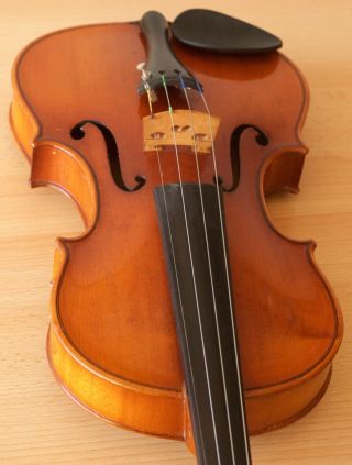Very Old Labelled Vintage Violin " Lucci Giuseppe " Fiddle 小提琴 ヴァイオリン Geige