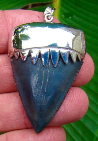 Great White Shark Tooth Necklace & Pendant - 1 & 15/16 In.  - Sterling Silver