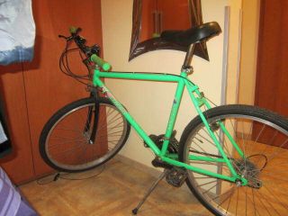 Vintage Italian Mountain Bike Steel Frame,  1990 Esperia,  Green,  Cond.