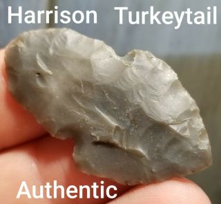 Authentic Harrison Turkeytail Arrowhead Spear Point Native Indian Artifact