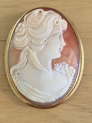 18k Yellow Gold Lg Carved Shell Cameo Brooch Pin Pendant 12.  03 Gr Artist Signed