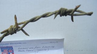 WWII German Barbed Wire From OMAHA BEACH,  NORMANDY,  DDAY,  France,  Overlord,  GIFT 2