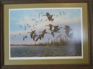 Vintage 1974 Owen J Gromme Signed And Numbered Canada Geese,  Tamarack Lake Print