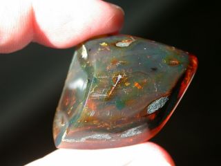 Blue Green Authentic Dominican Amber Fossil With Insects Rare 10.  9 Grams