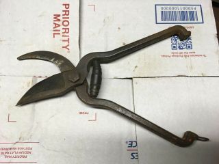 Rare Vintage Disston Model 146 Usa Rare Hand Shears Clippers Pruners.