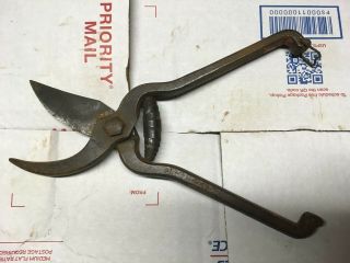 Rare Vintage Disston Model 146 USA Rare Hand Shears Clippers Pruners. 3