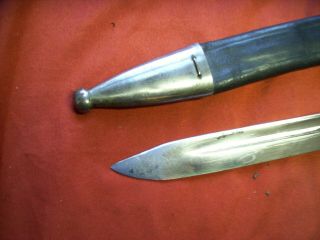 WW2 German stag sword hunting dagger knife Wingen Solingen 1937 3