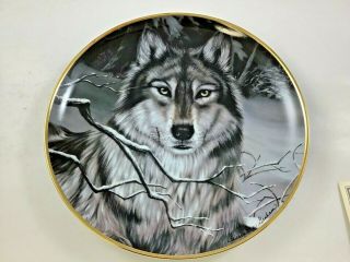 Call Of The Wild Wolf Plate By Cassandra Graham Franklin