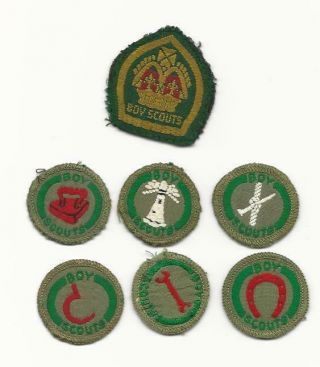 Boy Scout Proficiency Badges