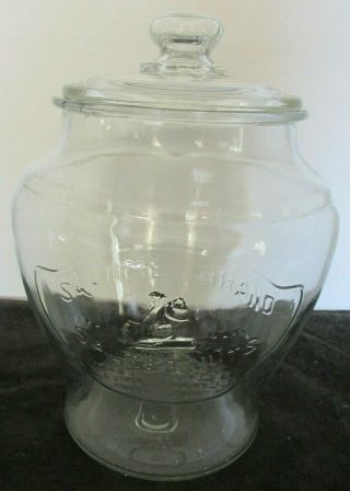 Squirrel Brand Salted Nuts Cambridge Mass Embossed Adv Storage Apothecary Jar
