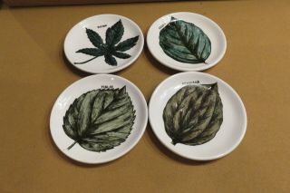 Vtg Piero Fornasetti Appetizer Coasters Bucciarelli Leaf Design Italy Pottery