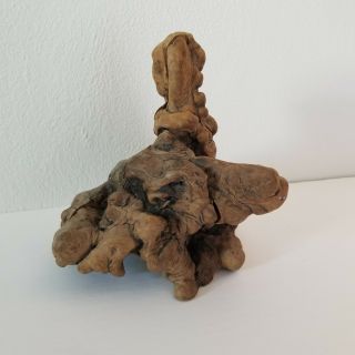 Manzanita Root Burl Wood Polished Root Wood Bookends Sculptural EUC Natural 3