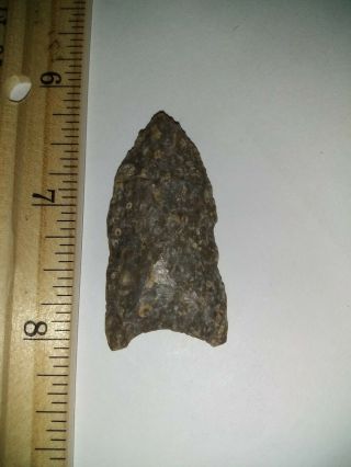 Authentic Native American Beaver Lake Paleo Point Shows Good Basal Grinding
