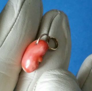 Antique Victorian Hand Carved Coral Bean Fob / Pendant Charm 9ct Gold Split Ring