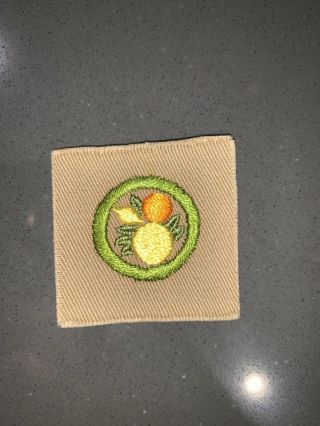 Citrus Fruit Culture Rare Square Merit Badge Boy Scouts