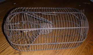 Antique Vintage Early Primitive Wire Cage Live Catch Mouse Rat Pest Rodent Trap