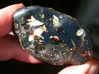 Deep Blue Amber Fossil Gemstone West Papua Very Rare Source Large 20.  7 G