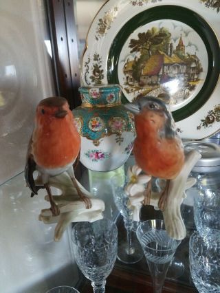 Vintage Goebel Bird Figurines Chaffinch Wth Edelweiss Flowers And Robin.