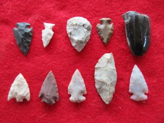 Group Of 10 Arrowheads,  Variety Of Types & Sizes,  Wha - 0114