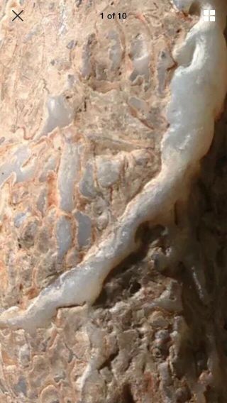 Gem Bone Red Fossil Whale Bone Agatized Lapidary Raw Polishing Material