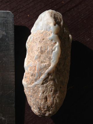 Gem Bone Red Fossil Whale Bone Agatized Lapidary Raw Polishing Material 2