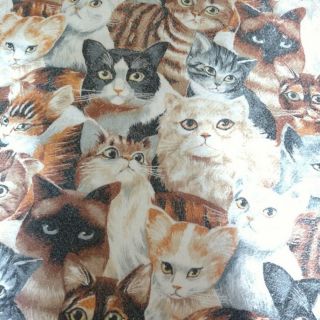 Vintage Cat Portrait Owen Fashion Print Blanket Full Twin Size 72 " X 90 "