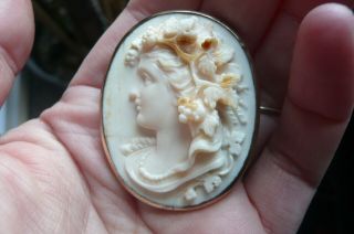 Victorian 3d Carved Bacchus Conch Shell Cameo And 9 Carat Gold Brooch