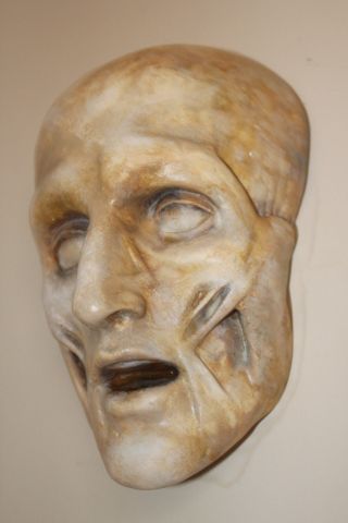 French Death Mask Human Skull Medical Anatomical Face Anatomy Oddity Gothic Rare