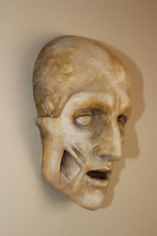 French Death Mask Human Skull Medical Anatomical Face Anatomy Oddity Gothic Rare 2
